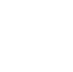 Quality Assured Prism Electronics Quality Assured Prism Electronics